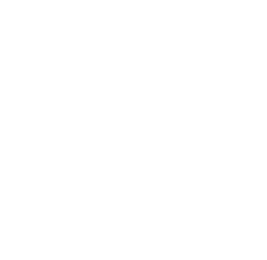 Tsuneishi Insurance Agency, Inc. - Logo 800 White