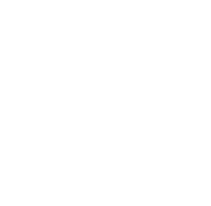 Tsuneishi Insurance Agency, Inc. - Logo 800 White
